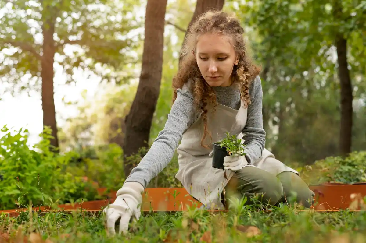 Dutch garden plant disease prevention
