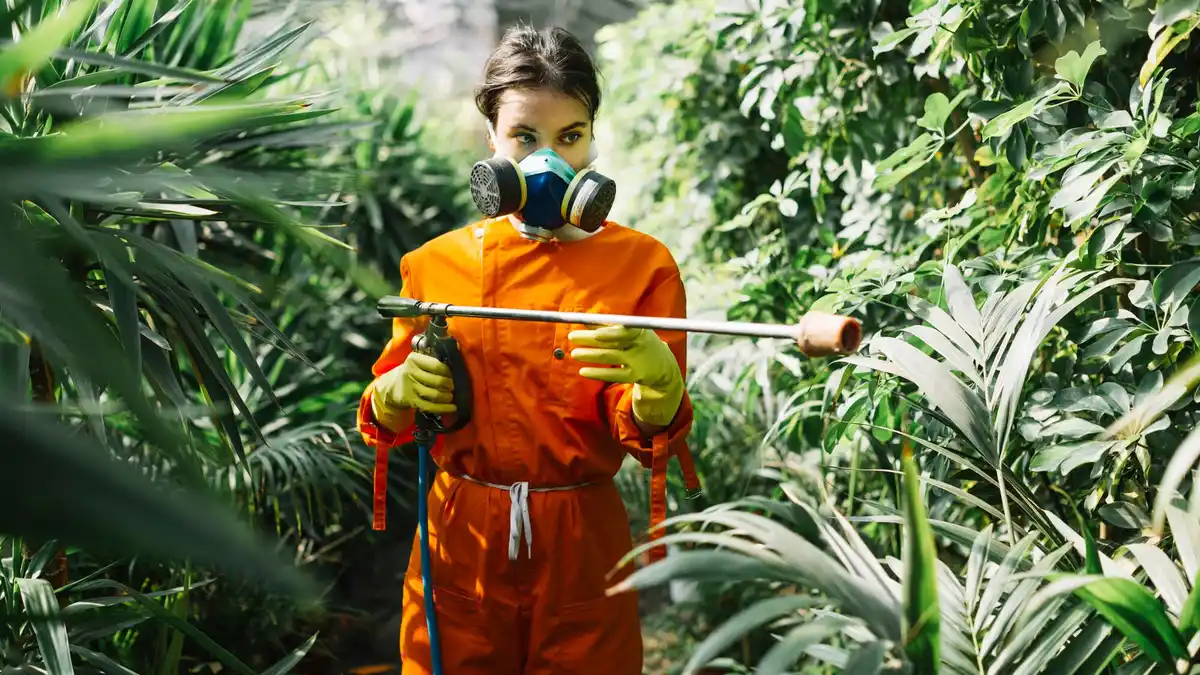organic garden pest control natural remedies Netherlands