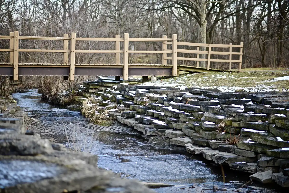 Wild garden with winding paths and water feature Netherlands