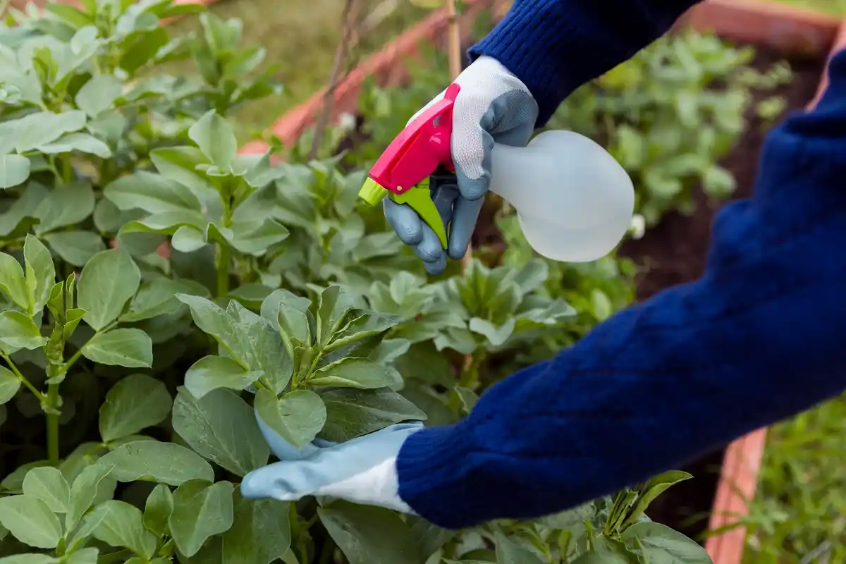 Dutch garden pest control small actions