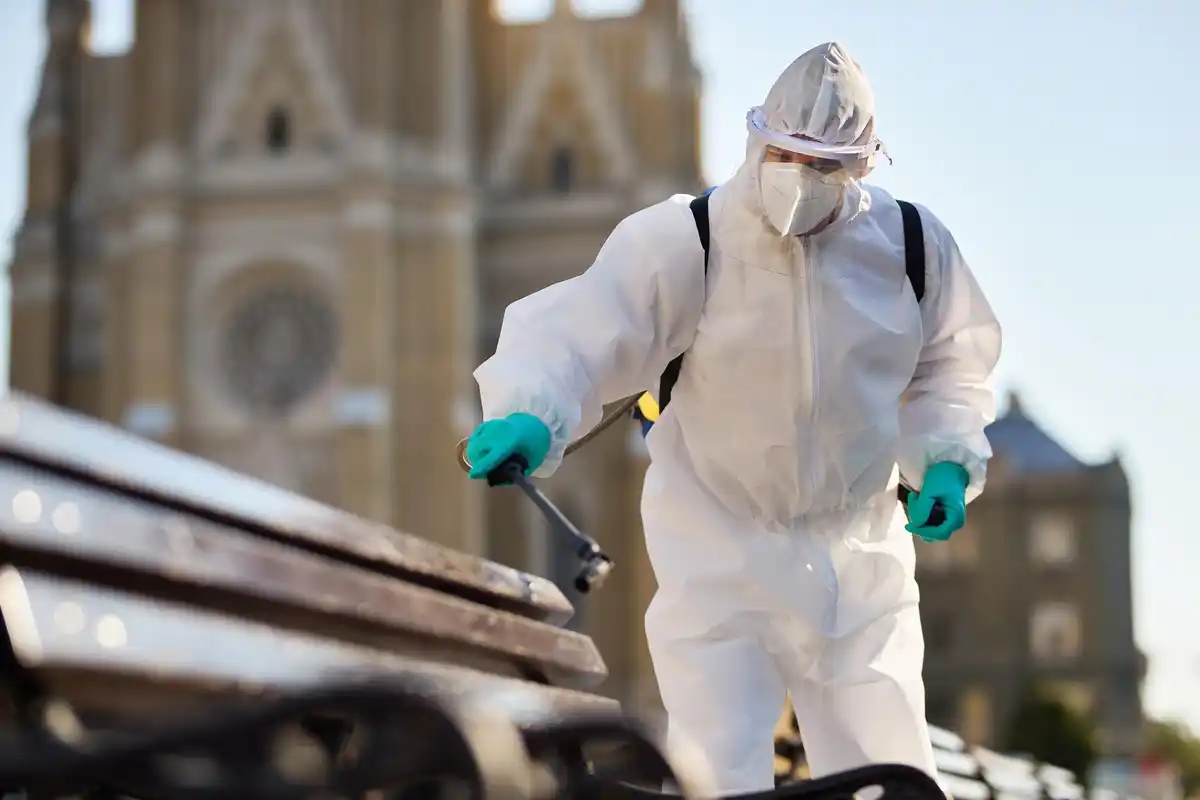 Dutch home pest control simple remedy
