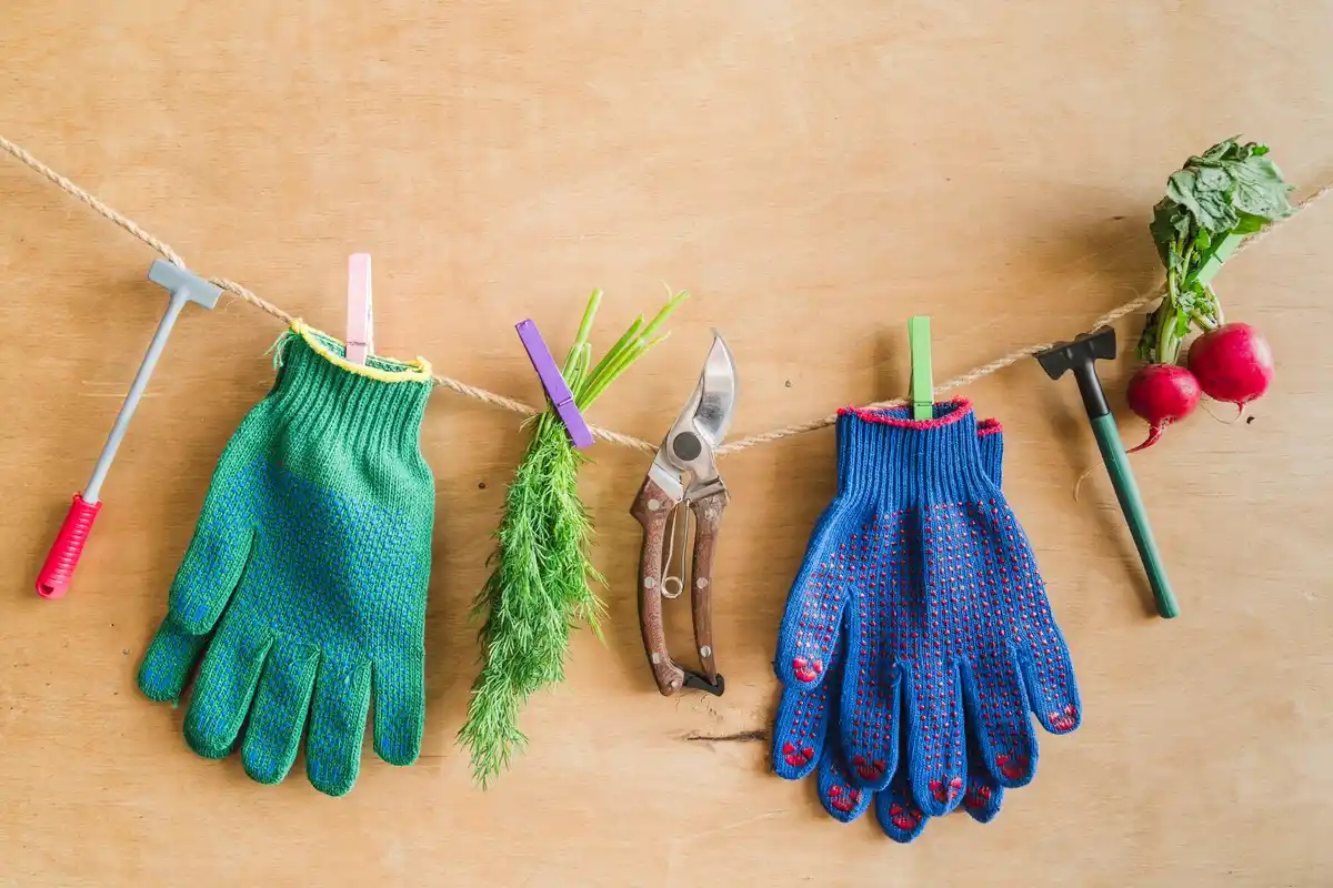 clean garden tools preventing plant infection