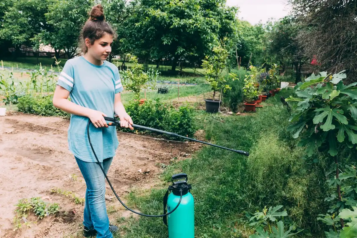 De beste natuurlijke middelen tegen ongedierte in je moestuin