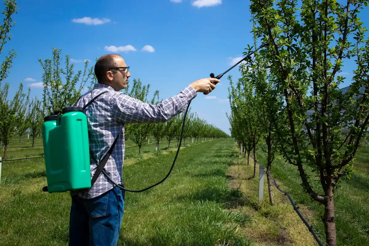 organic pest control garden netherlands