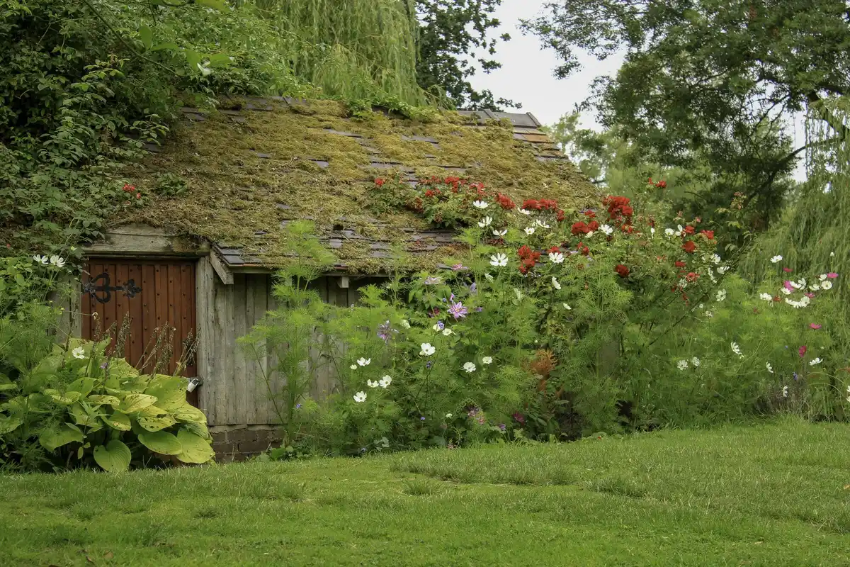home vegetable garden with herbs and flowers in netherlands