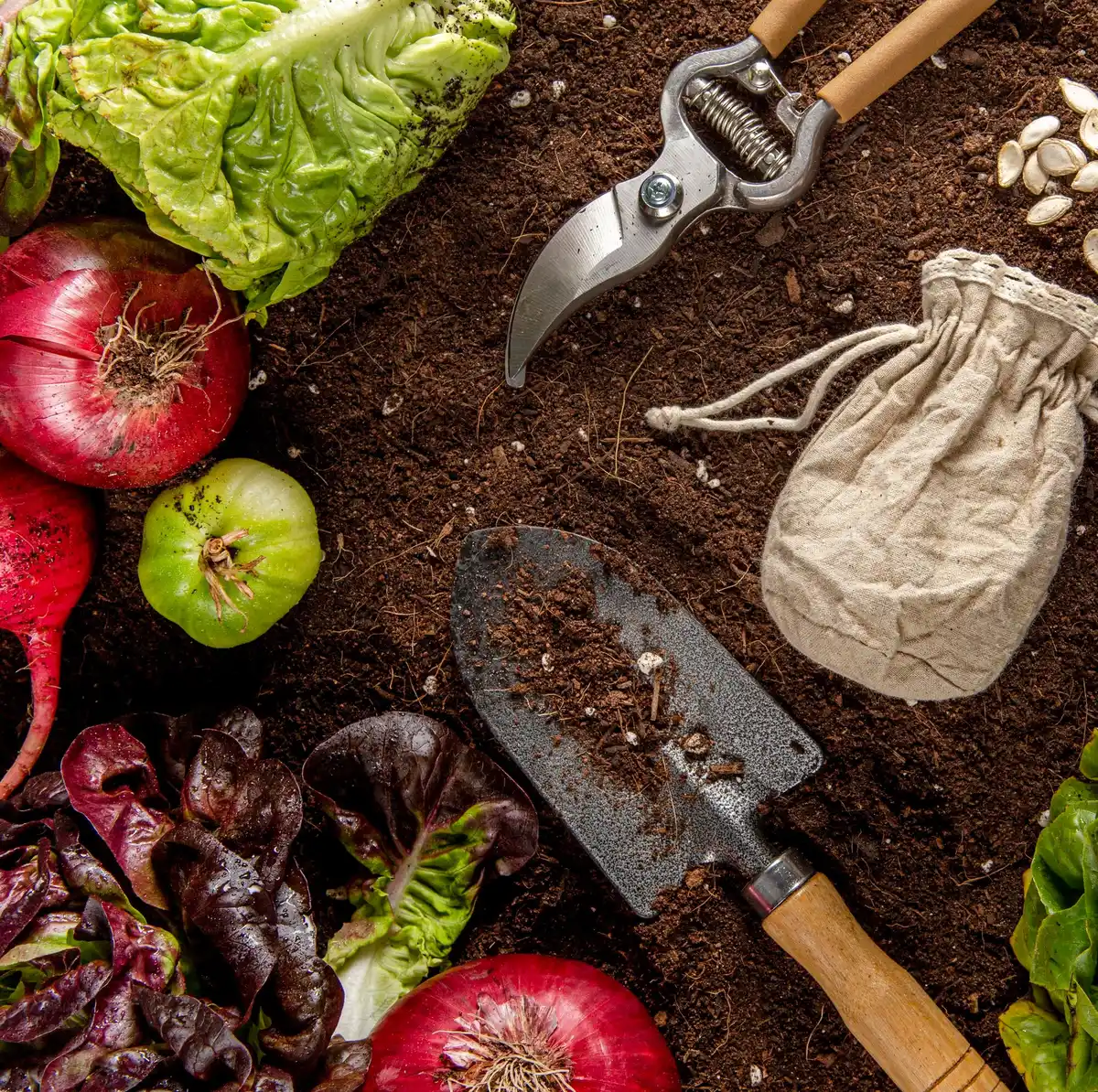 Homegrown vegetables with coffee grounds in garden
