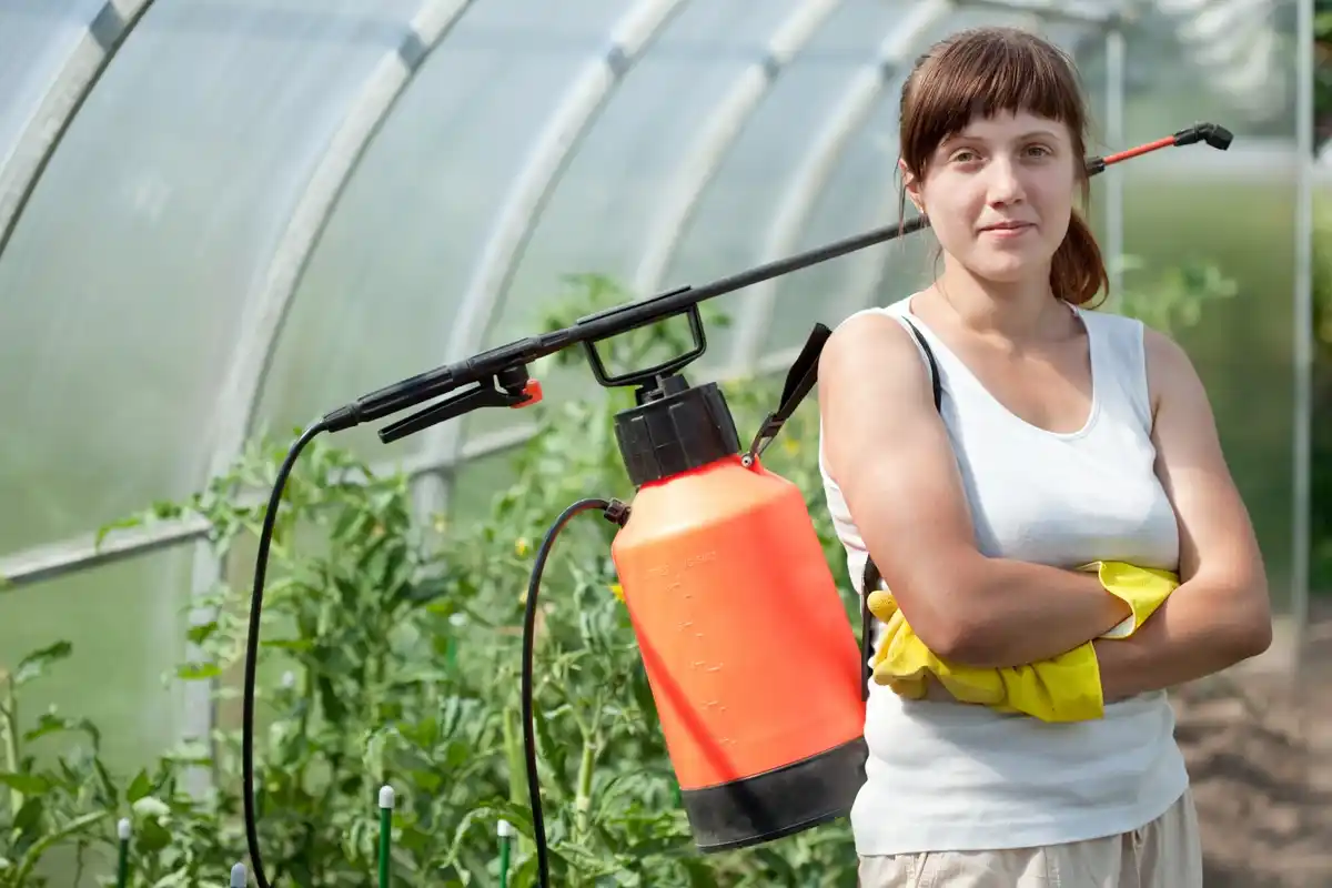 organic gardening pest control homemade spray
