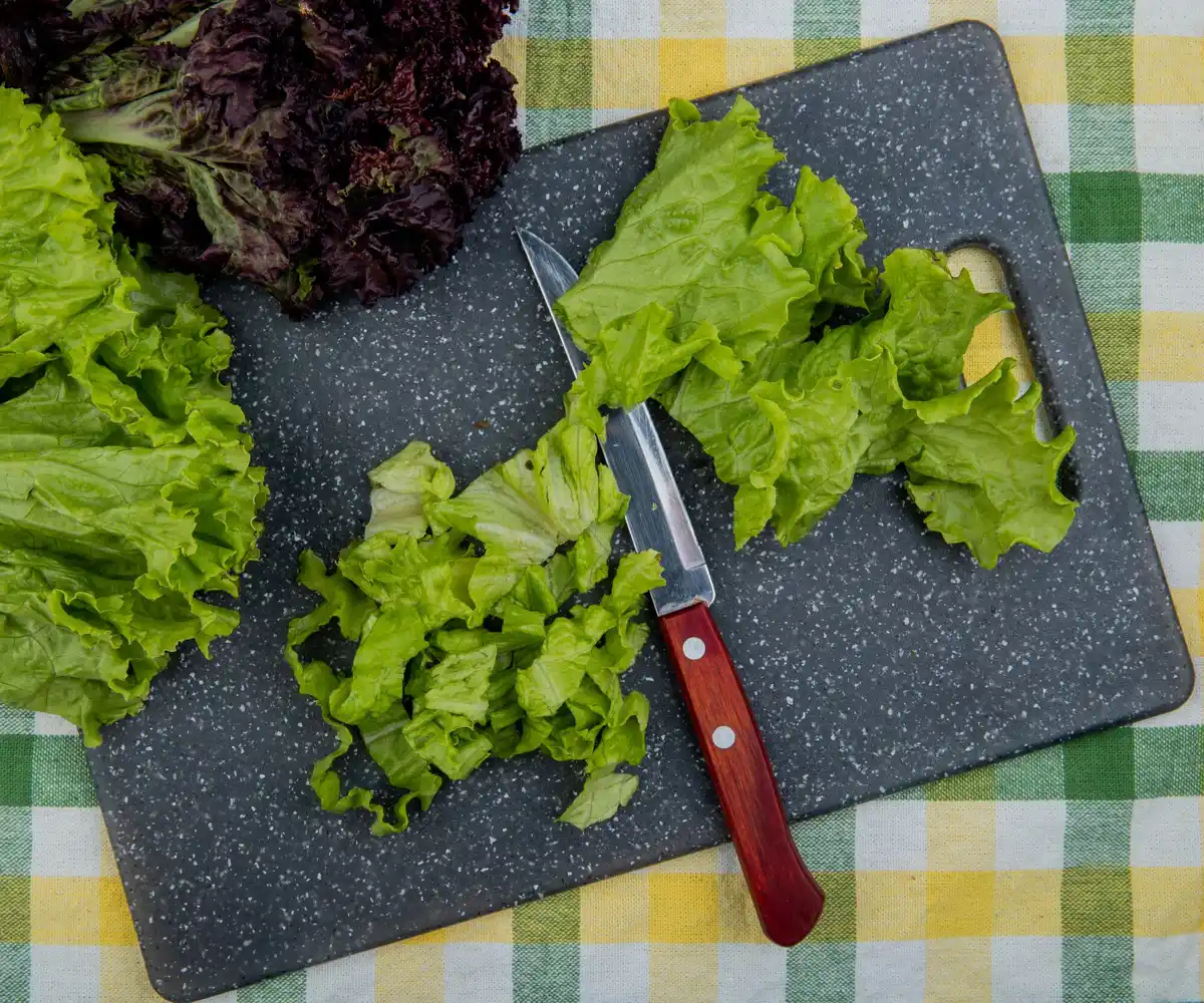 fresh lettuce home garden harvest