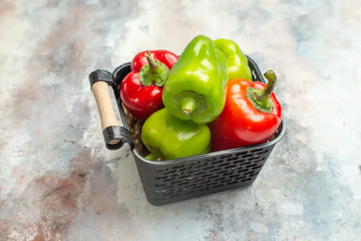 close-up of red and green bell peppers on plant