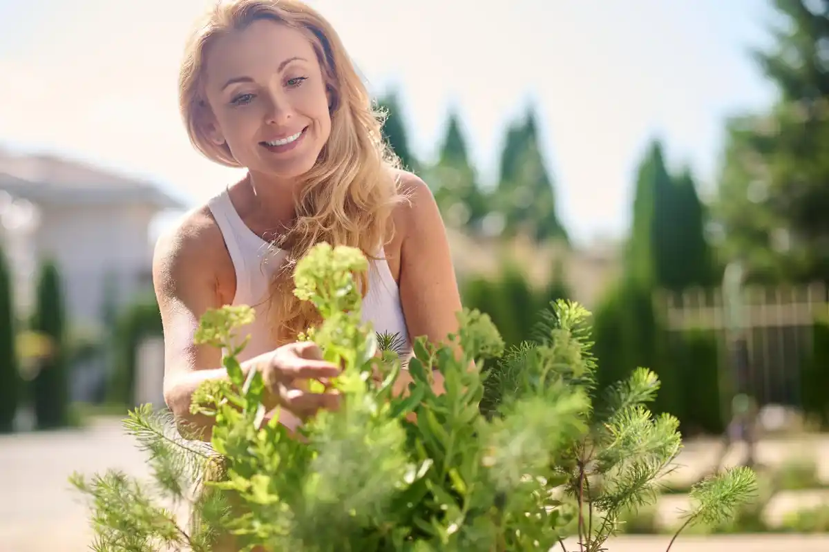 happy home vegetable garden with healthy plants sunlight