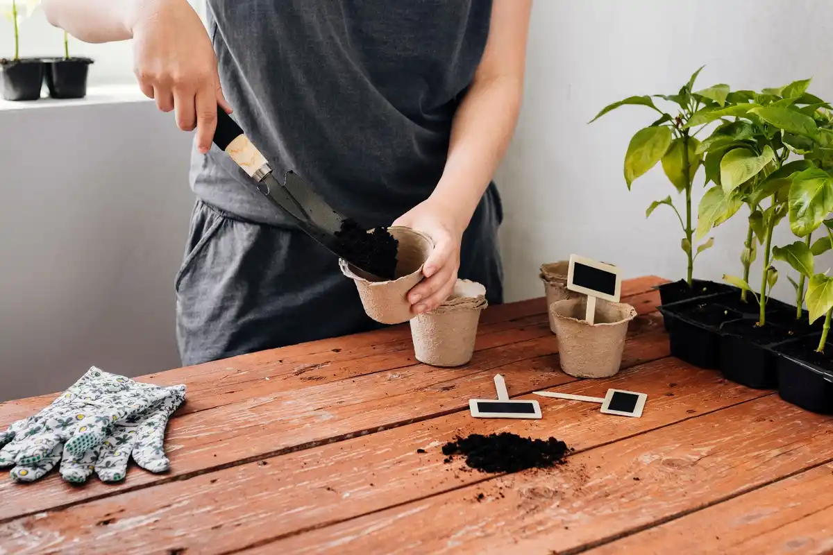 home vegetable garden soil test plants