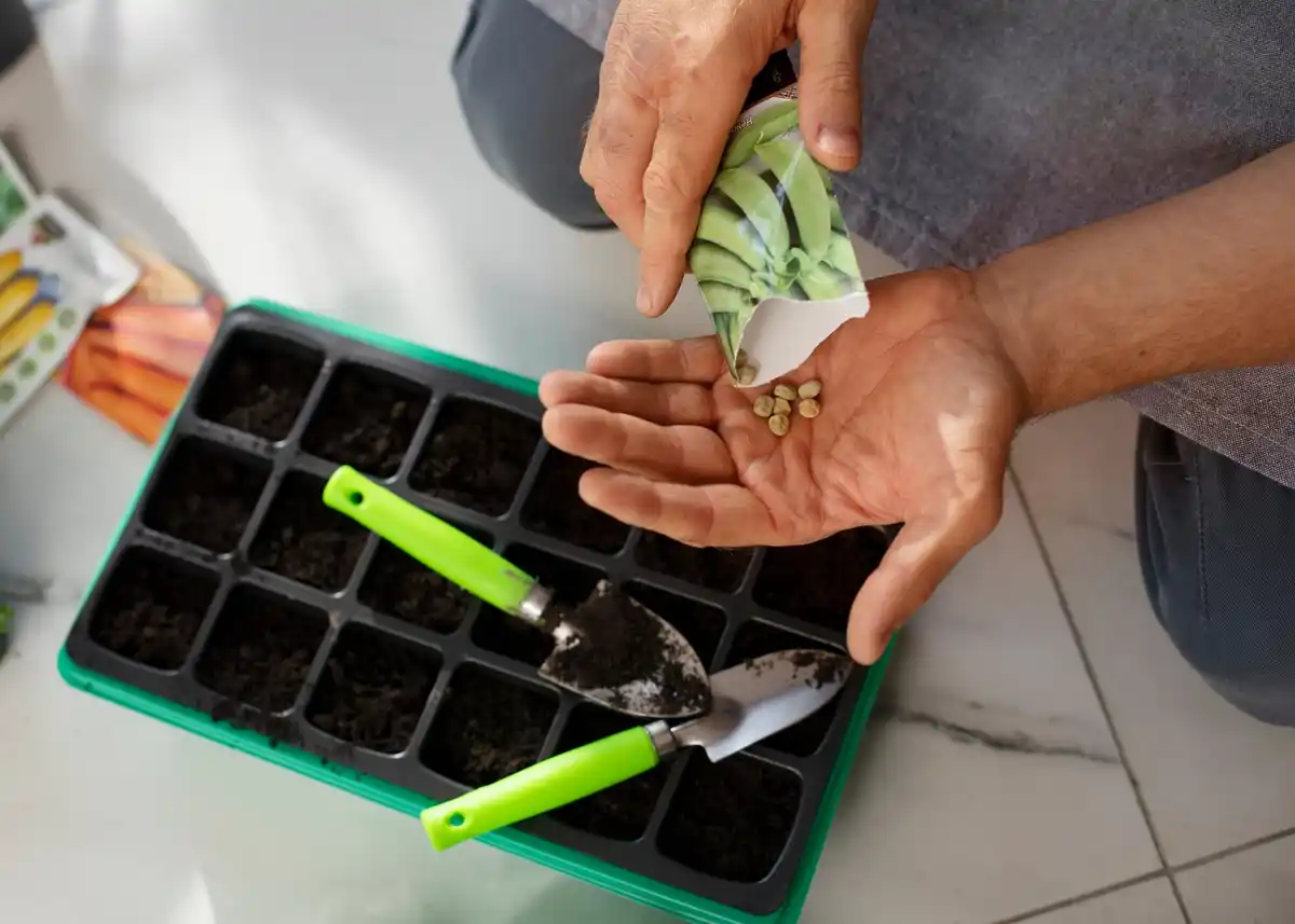 seed germination test home garden