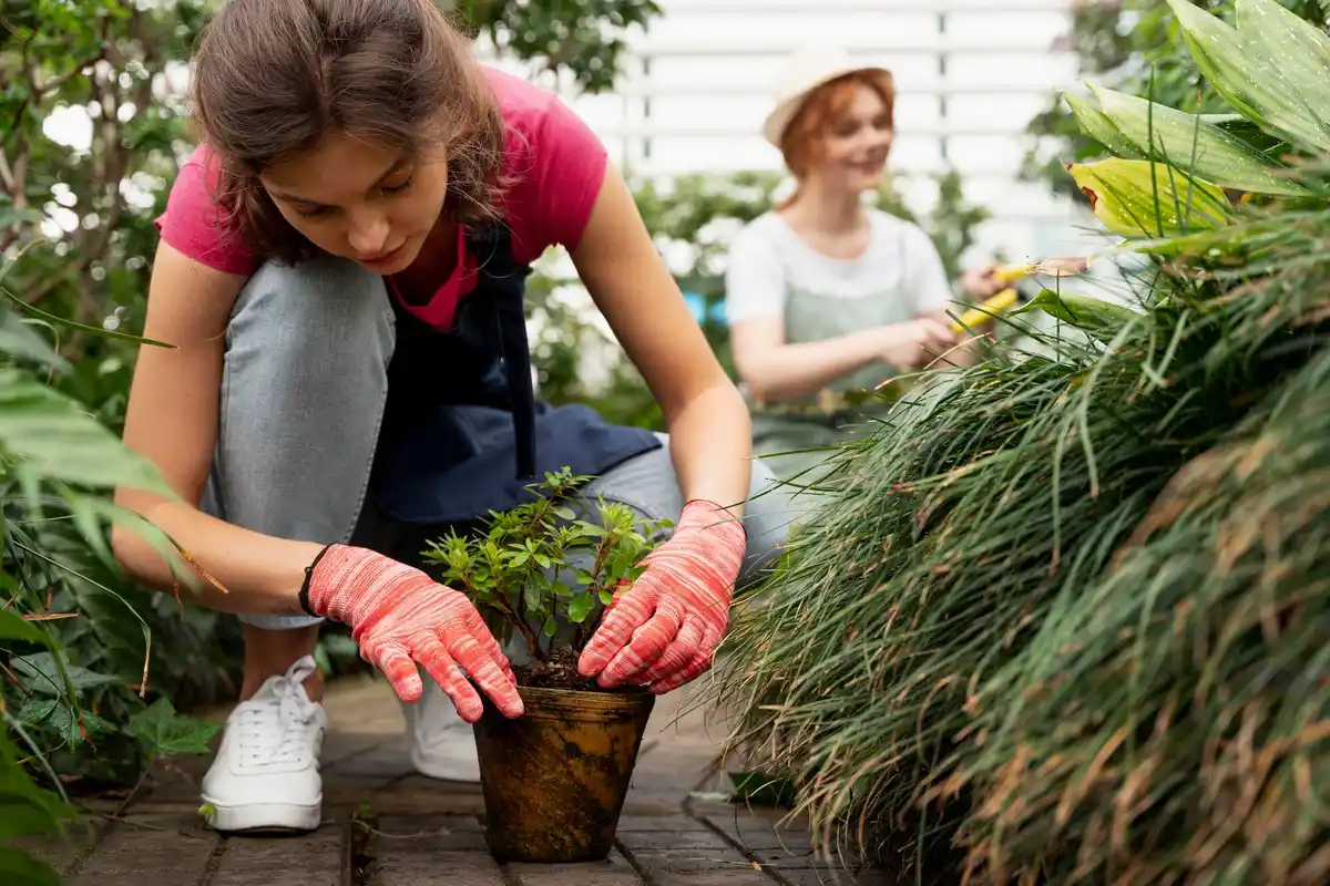 beginner vegetable garden common mistakes Netherlands