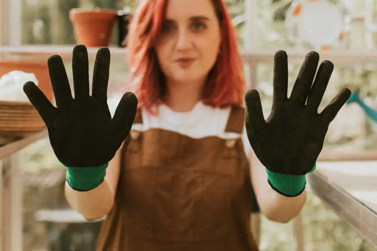 beginner vegetable garden mistakes