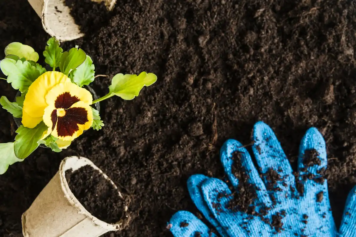 soil preparation for vegetable garden
