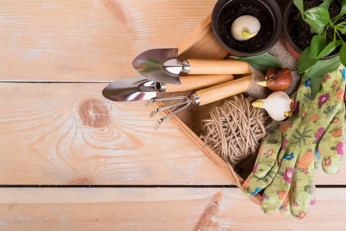 Dutch garden tools spring gardening essentials
