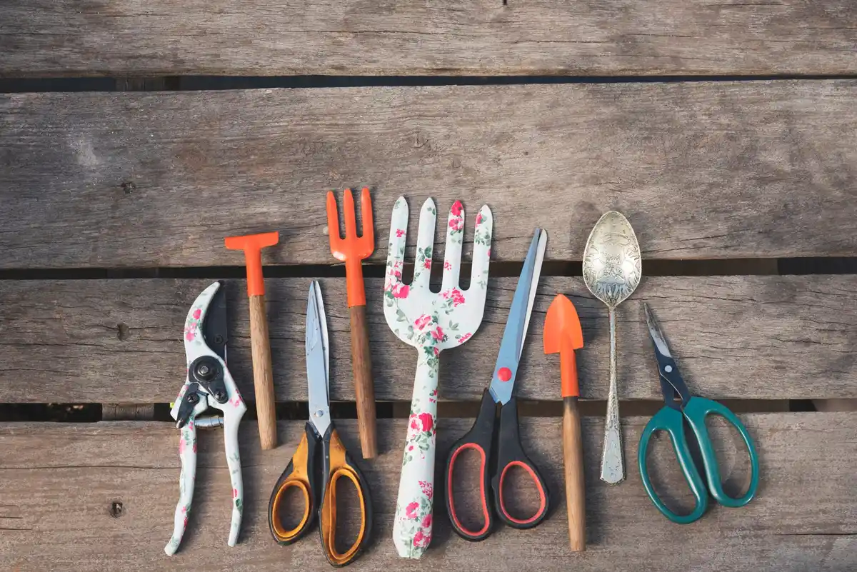Garden pruning shears spring seasonal tools