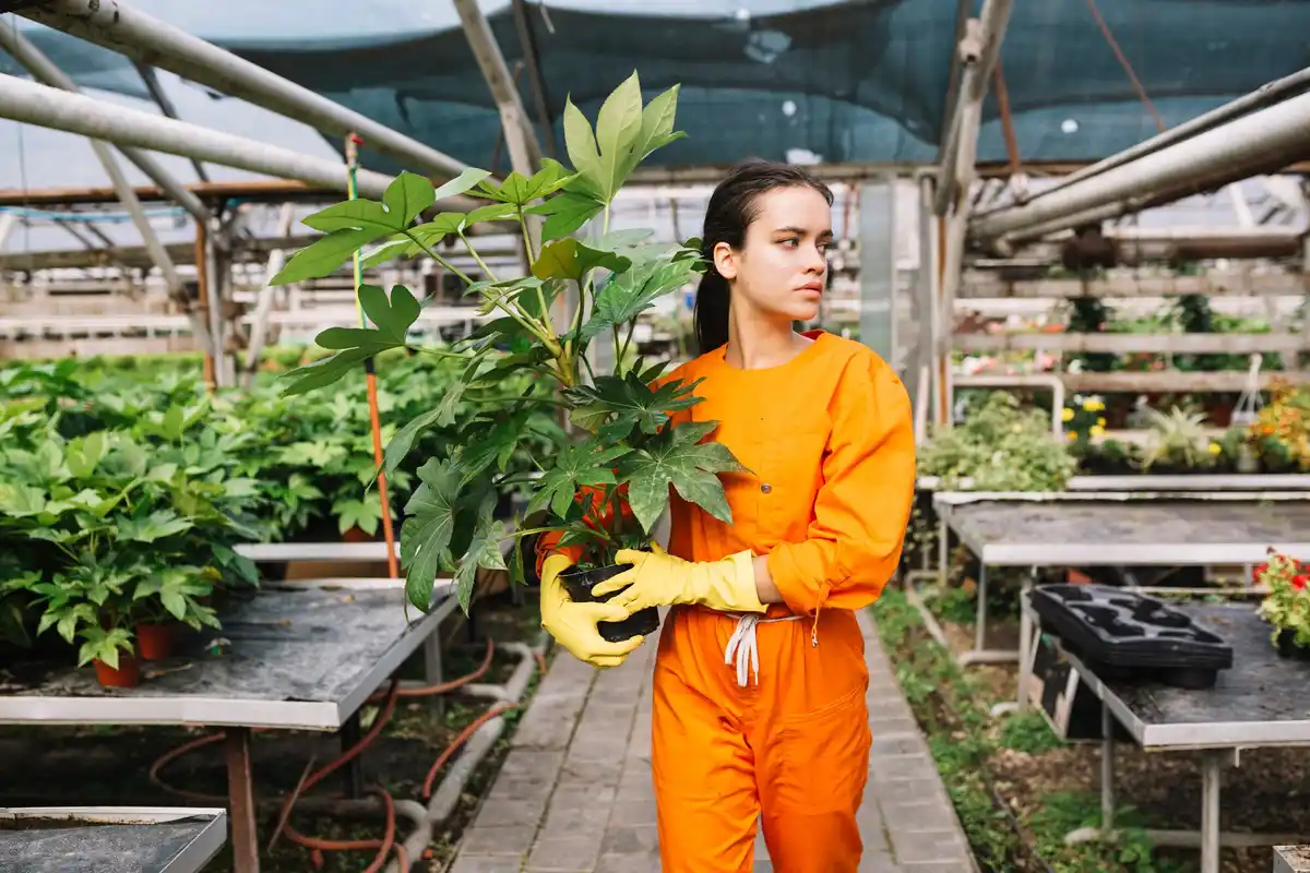 dutch vegetable garden pests