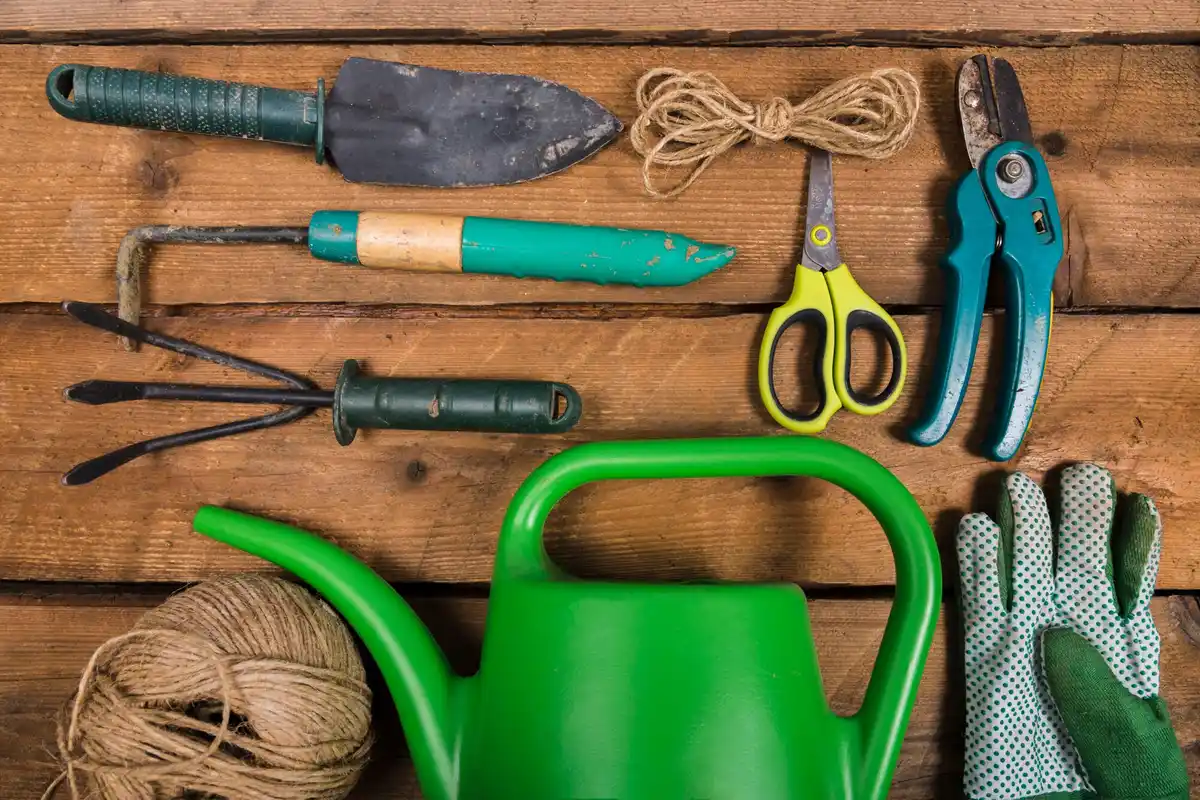 garden tools maintenance tips outdoors