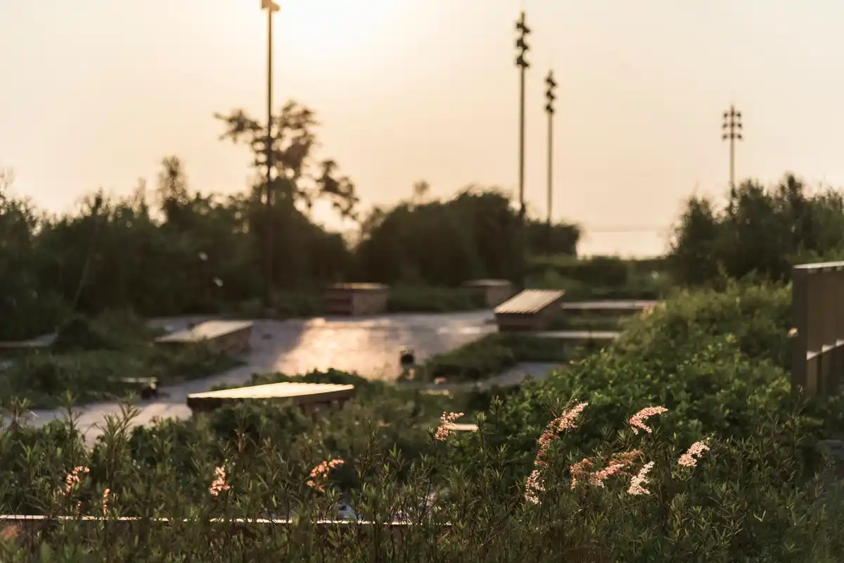 smart garden irrigation system Netherlands