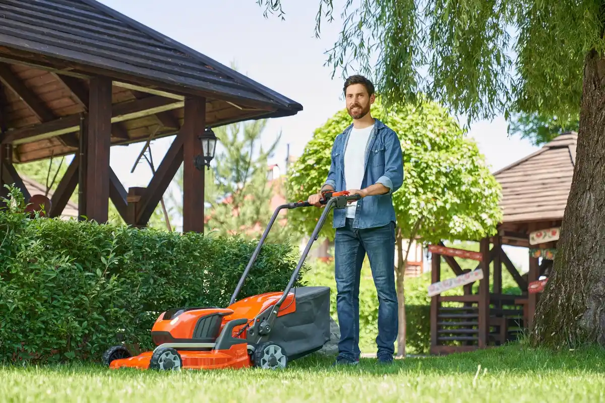 robot lawn mower in Dutch garden