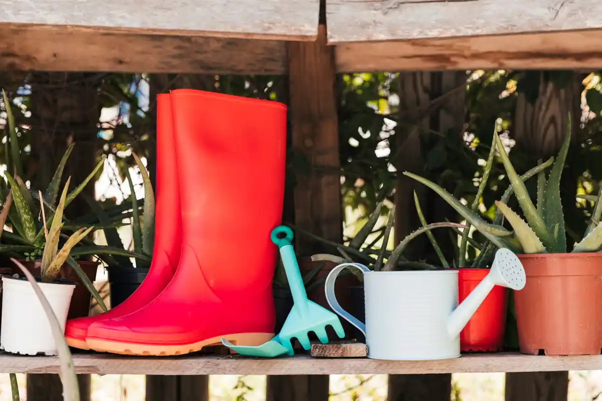 Dutch urban gardening tools