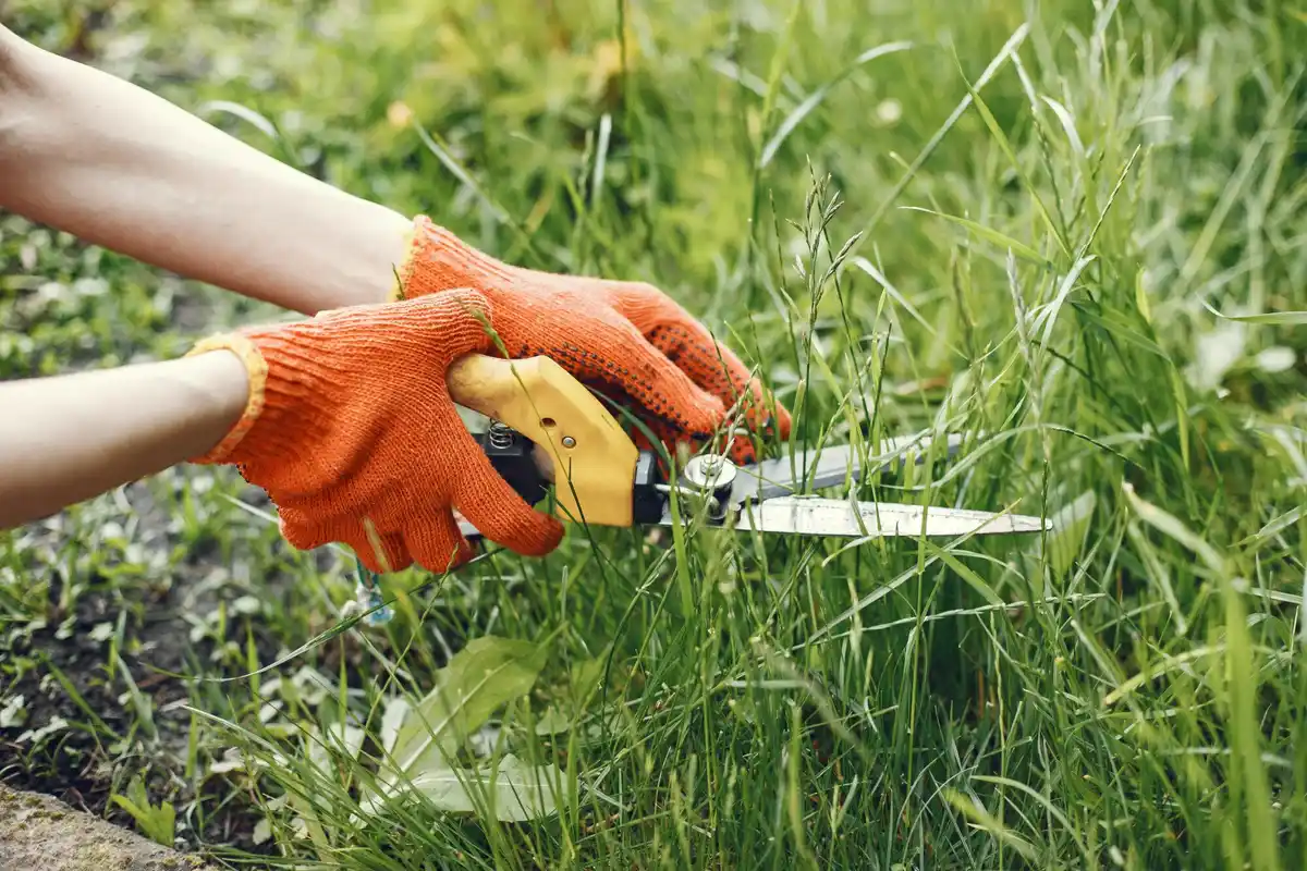 broken garden tools rust gardening mistakes