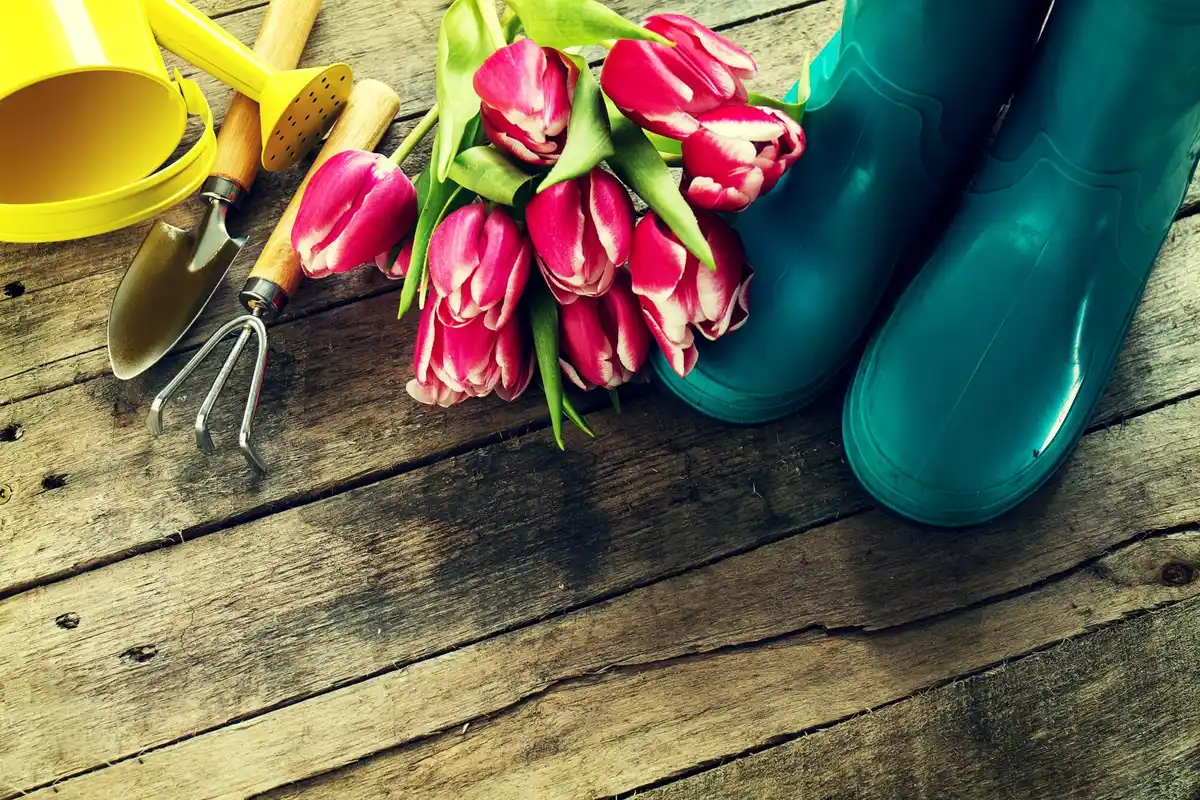 Dutch gardening tools 2024