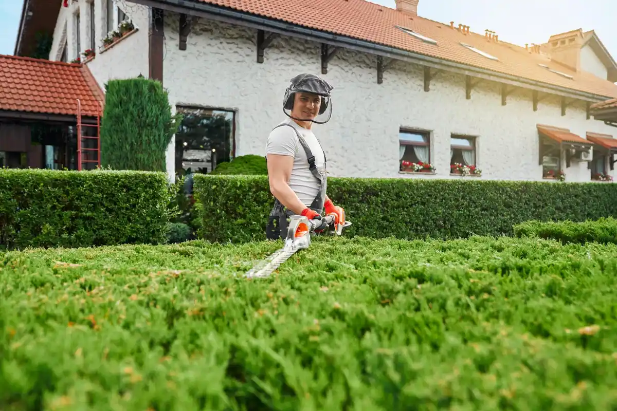 modern garden tools robot lawn mower cordless leaf blower multifunction garden equipment