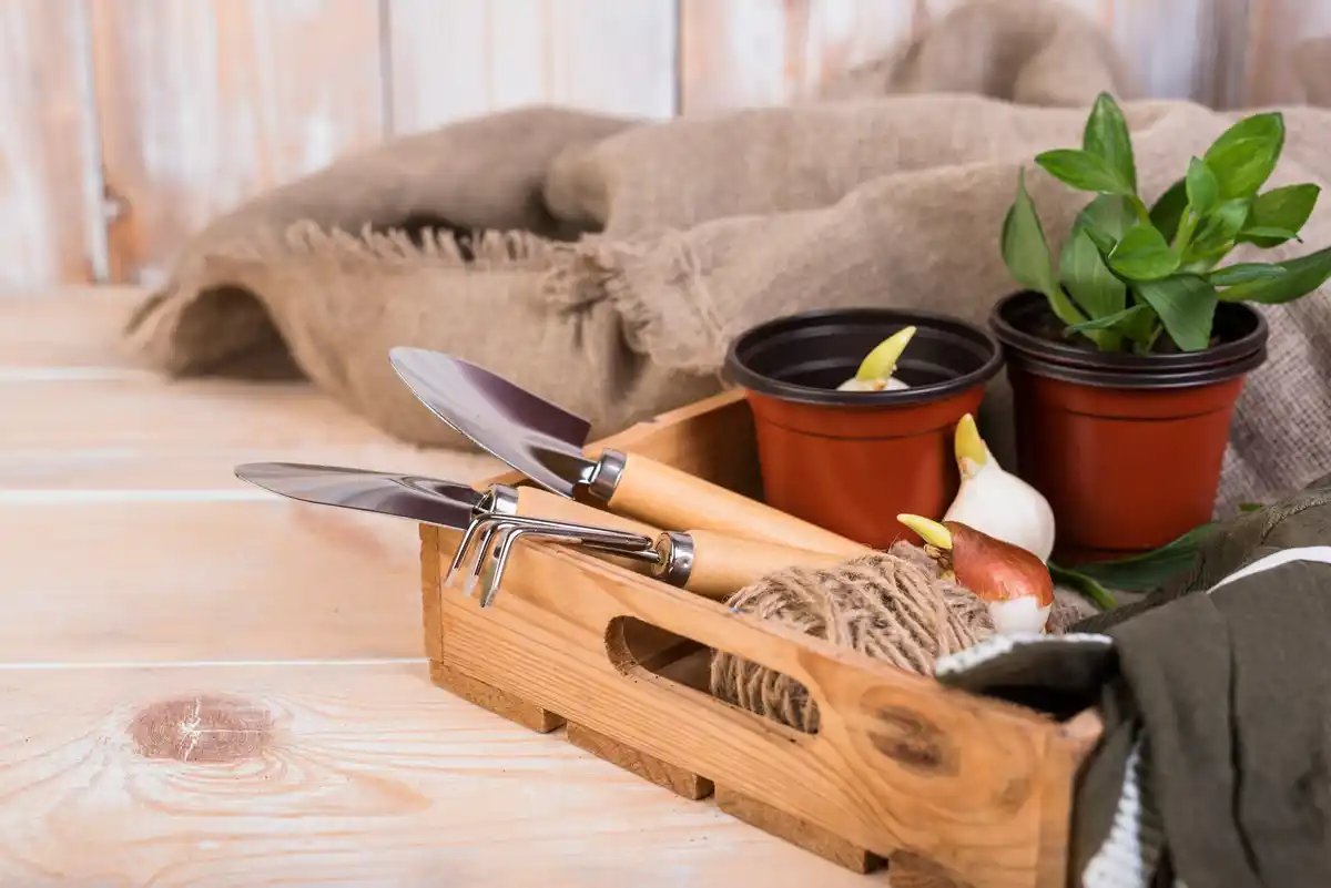 small gardening hand tools on patio
