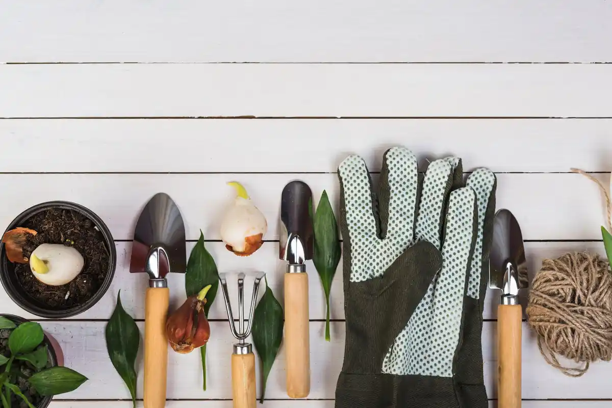 tuingereedschap voor efficiënt tuinieren