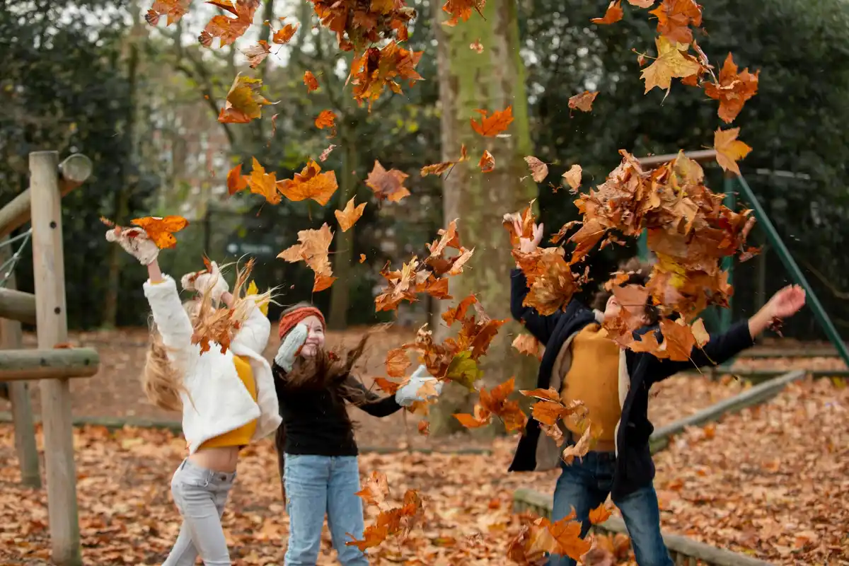 leaf blower garden autumn Netherlands