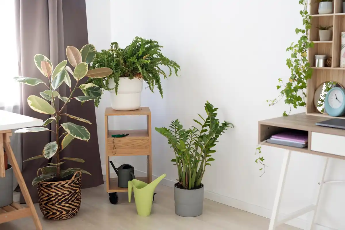 Zo breng je binnen je tuin tot leven: planten die je huis opfleuren