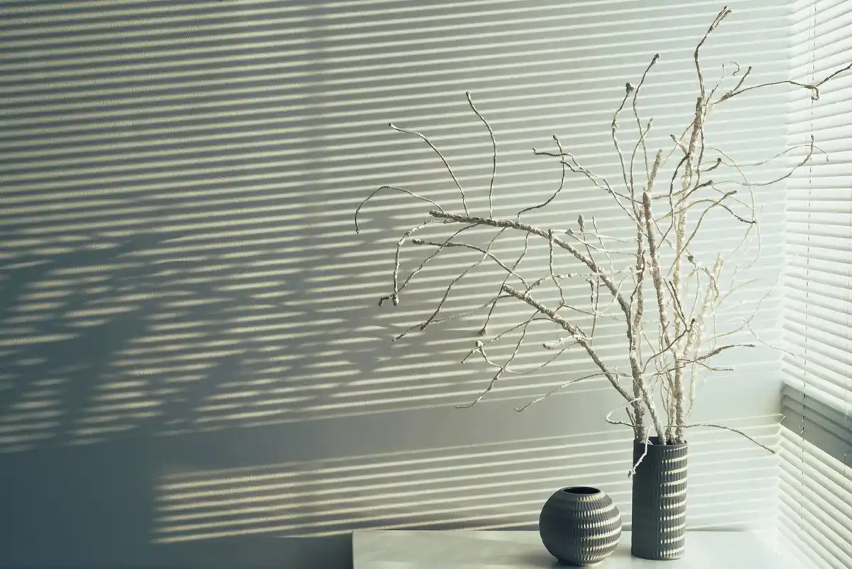 light conditions for indoor plants near window