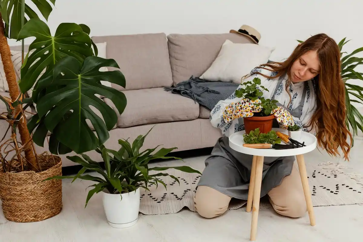 Wil je meer bloemen in huis? Zo krijg jij ze bloeiend en blij!