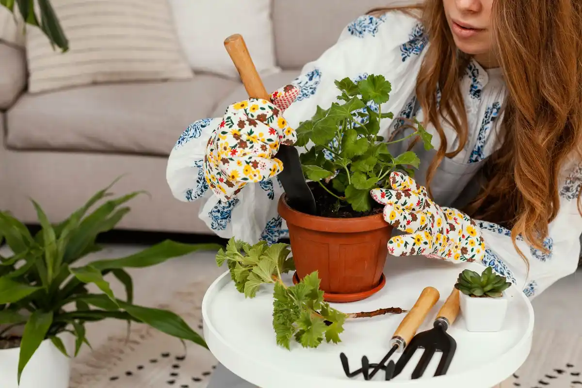 easy home vegetable garden beginners