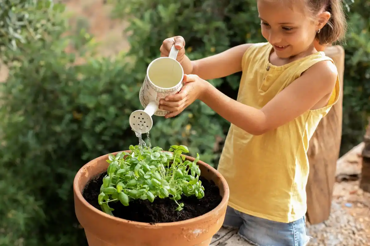beginner's vegetable garden backyard sunny day