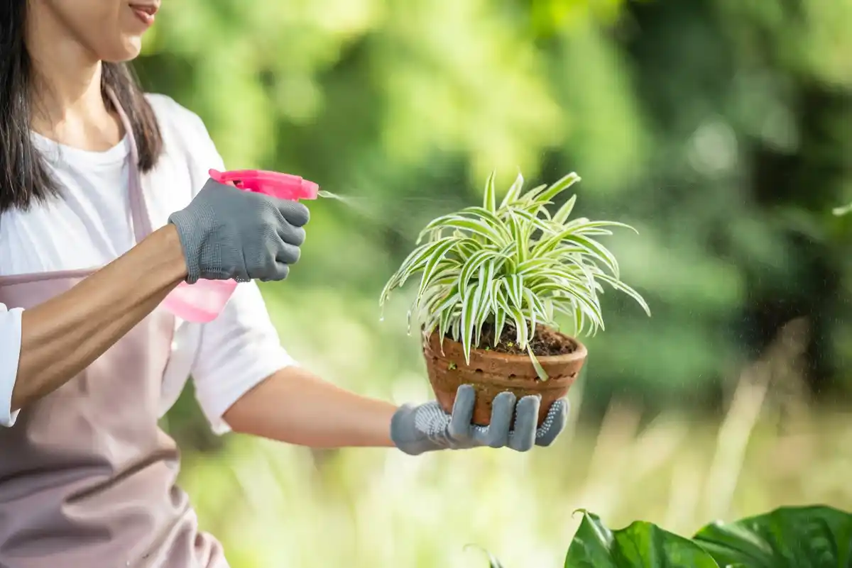 natural garden pest control plants