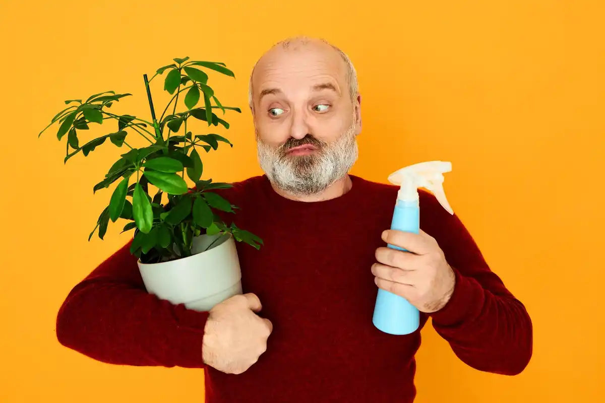 Deze 5 onmisbare tips houden je planten gezond en vrij van schadelijke insecten