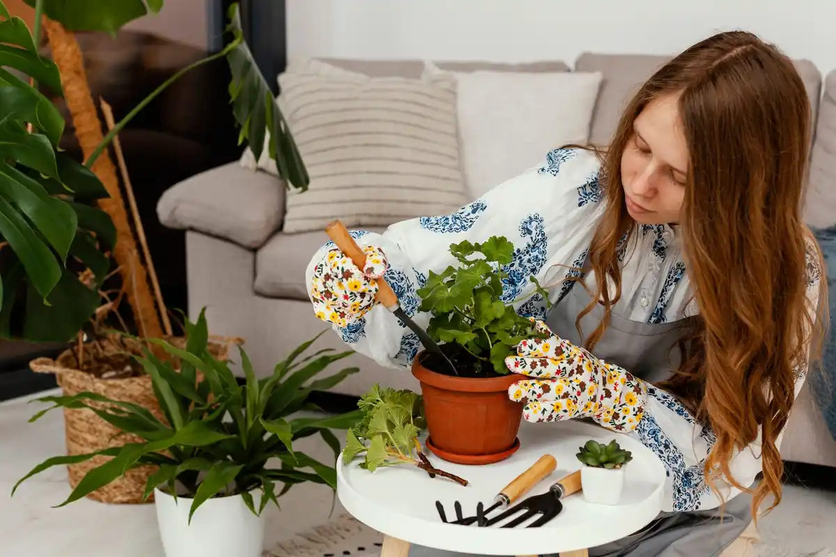 healthy indoor plants with pest prevention