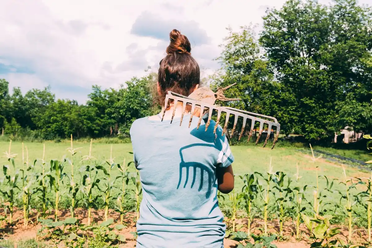 crop rotation garden disease prevention