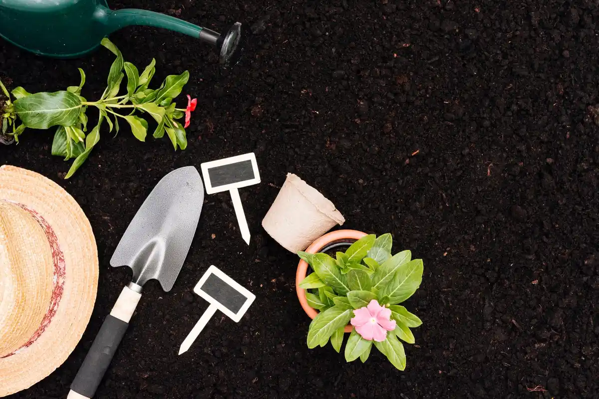 healthy garden soil with compost and mulch