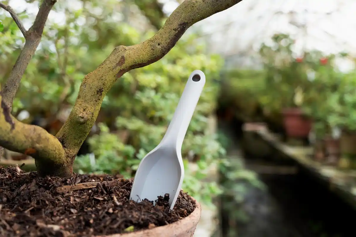 best gardening tools Dutch garden backyard