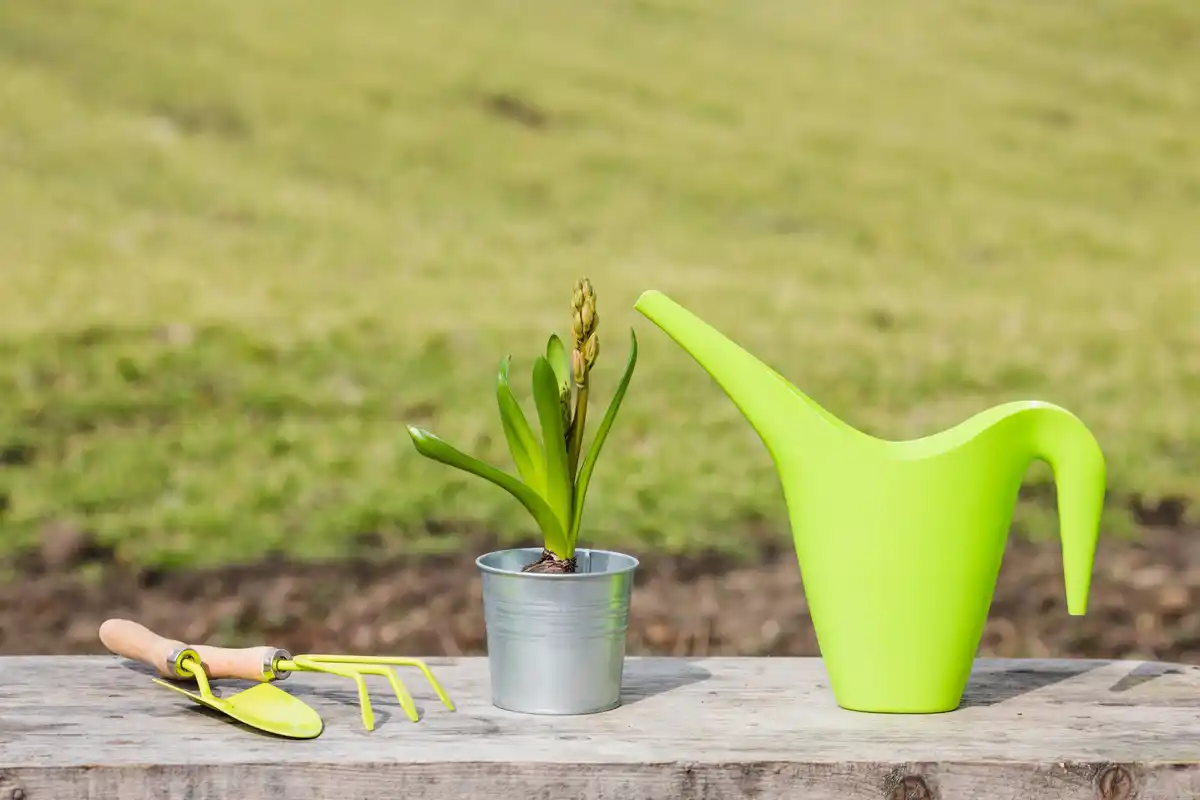 garden tools in Dutch backyard