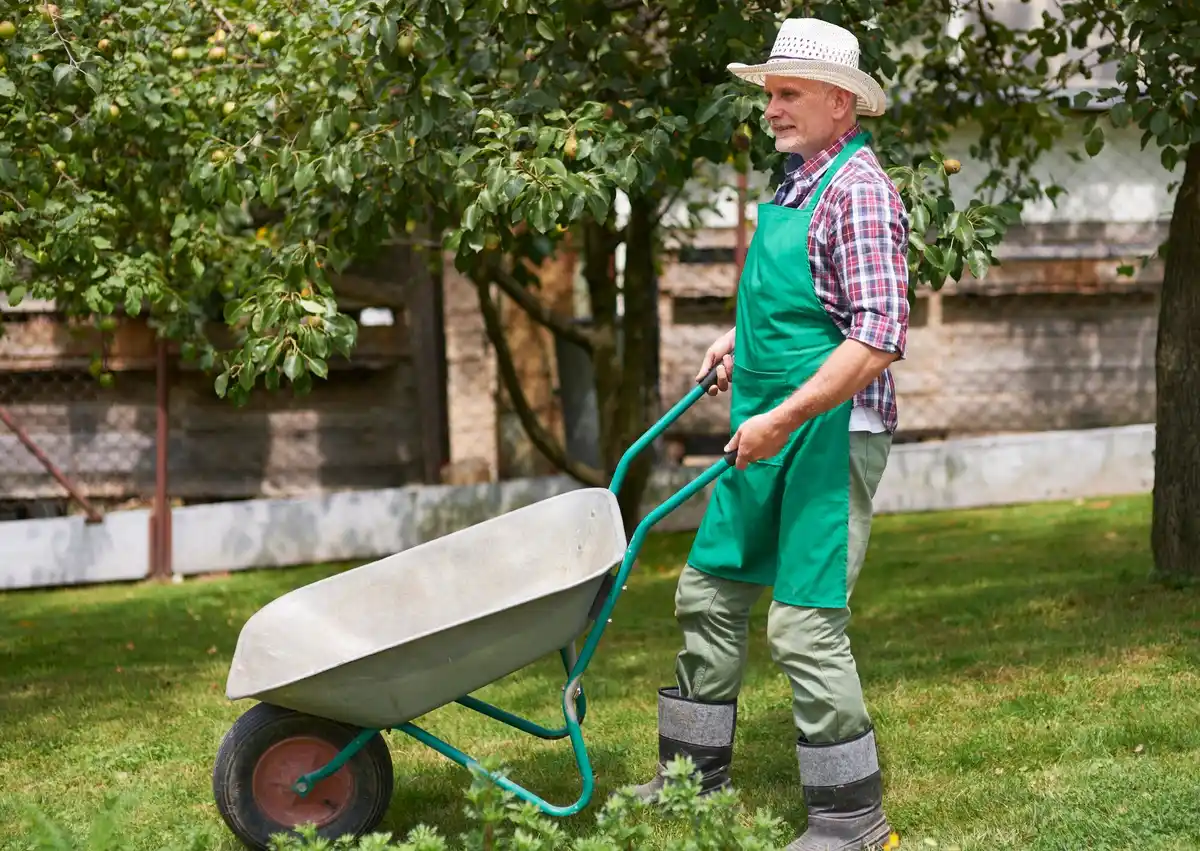 dutch garden lawn mower garden tools