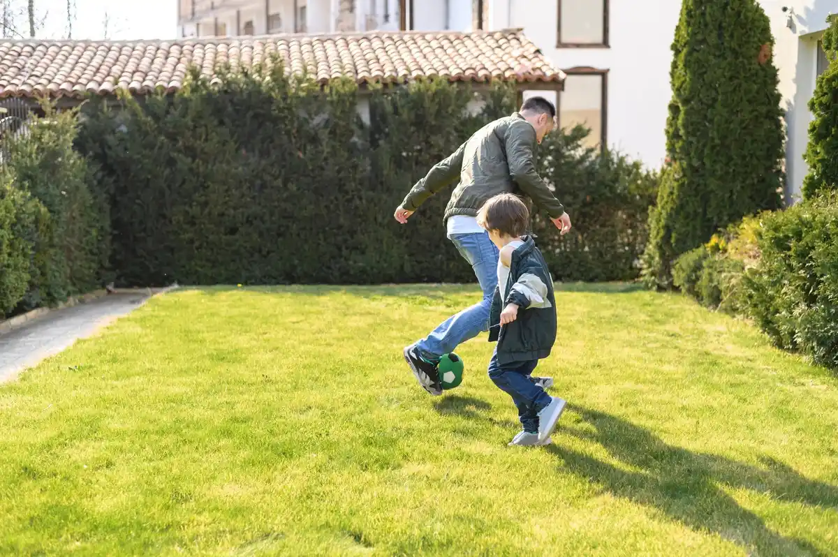 robot lawn mower in dutch garden