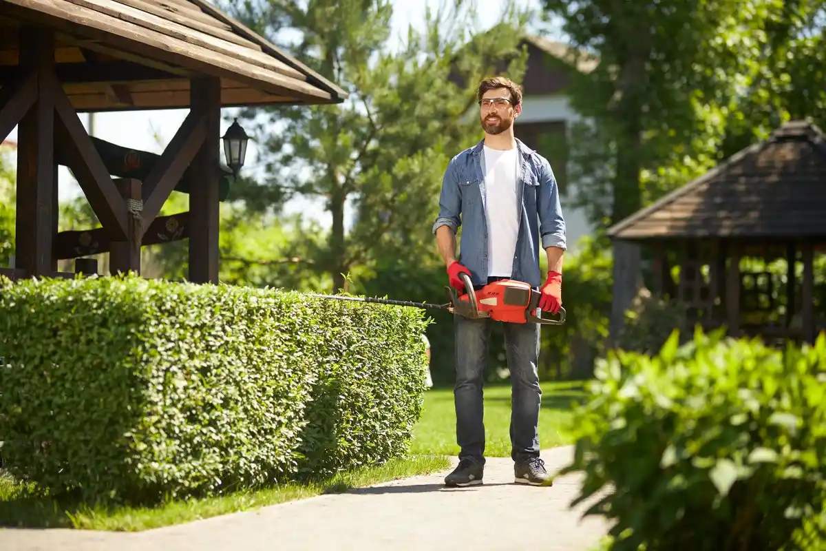 quiet electric lawn mower in dutch garden