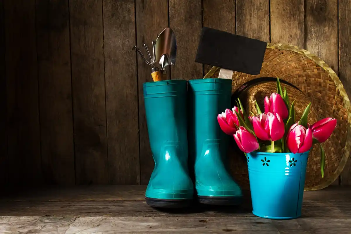 budget-friendly garden gadgets in Dutch garden