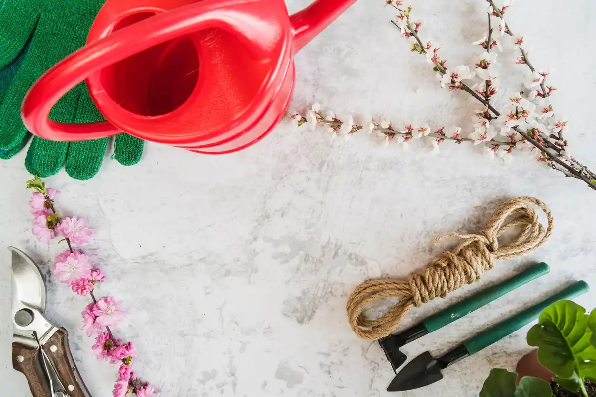 essential Dutch garden tools in backyard