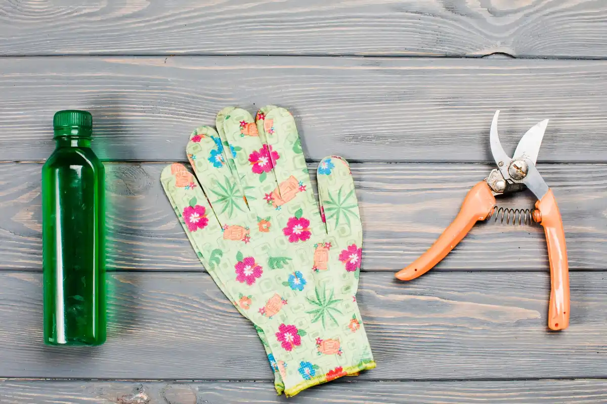 essential gardening tools netherlands